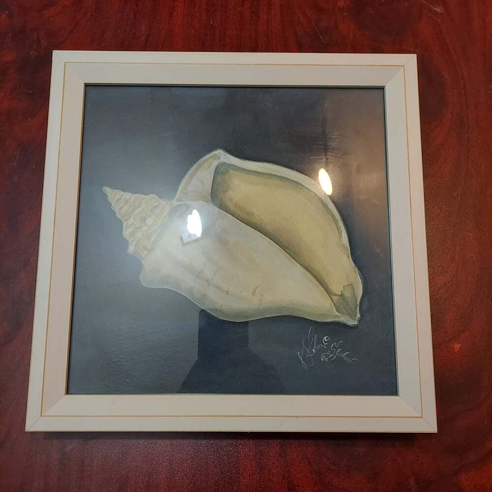 Spicher & Co Seashell No4 by Kolene Spicher Framed Print